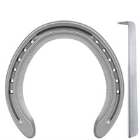 Alu Kingsplate Degree Bak