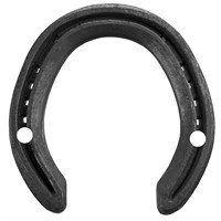 HMS Champion Concave-H STL7 22x10 Sidokappor 2-hål